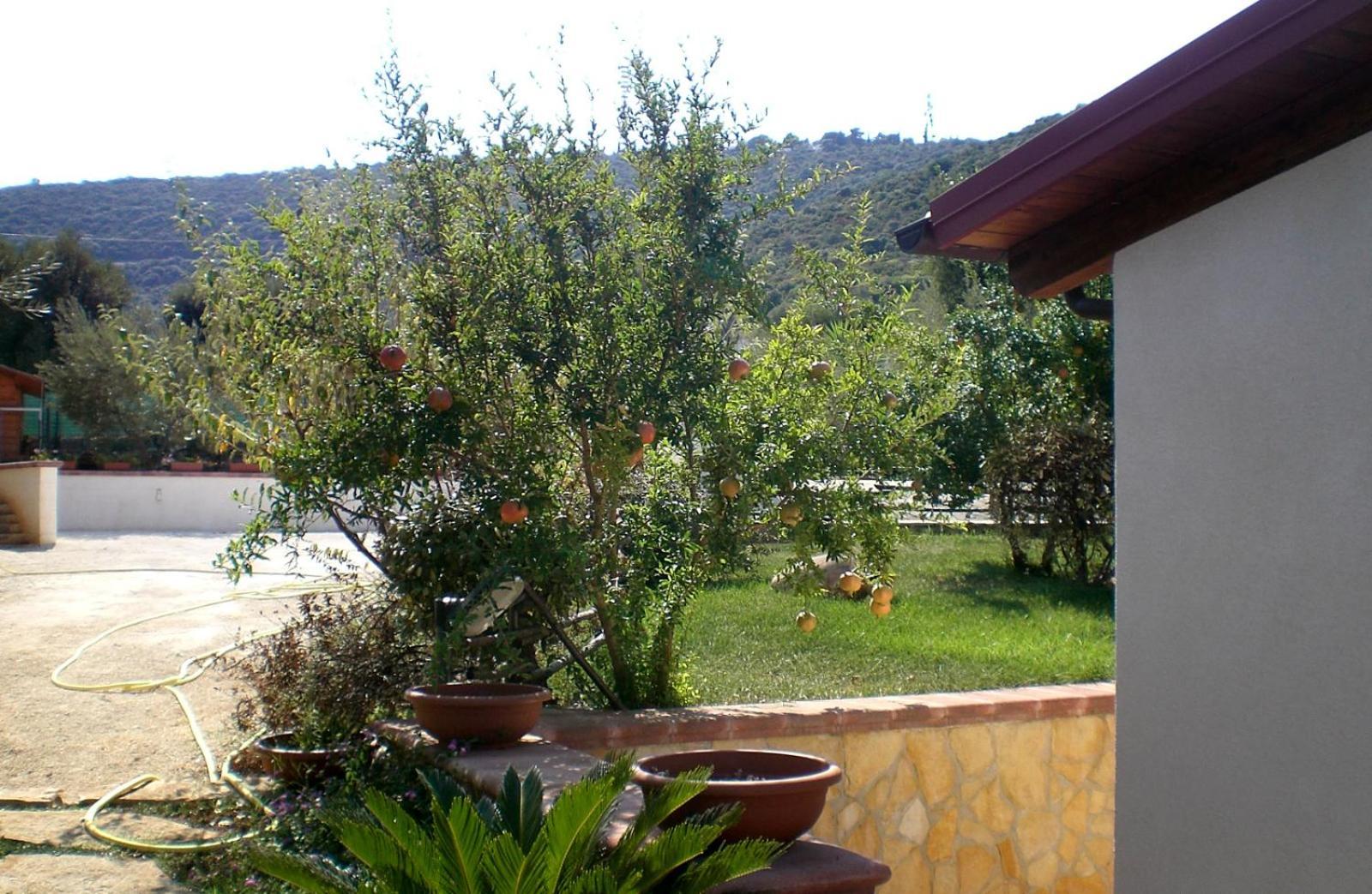 Bed And Breakfast La Casetta Monopoli Exteriér fotografie