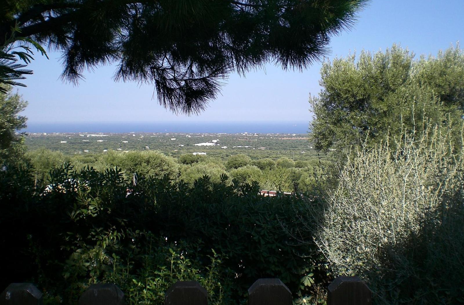 Bed And Breakfast La Casetta Monopoli Exteriér fotografie