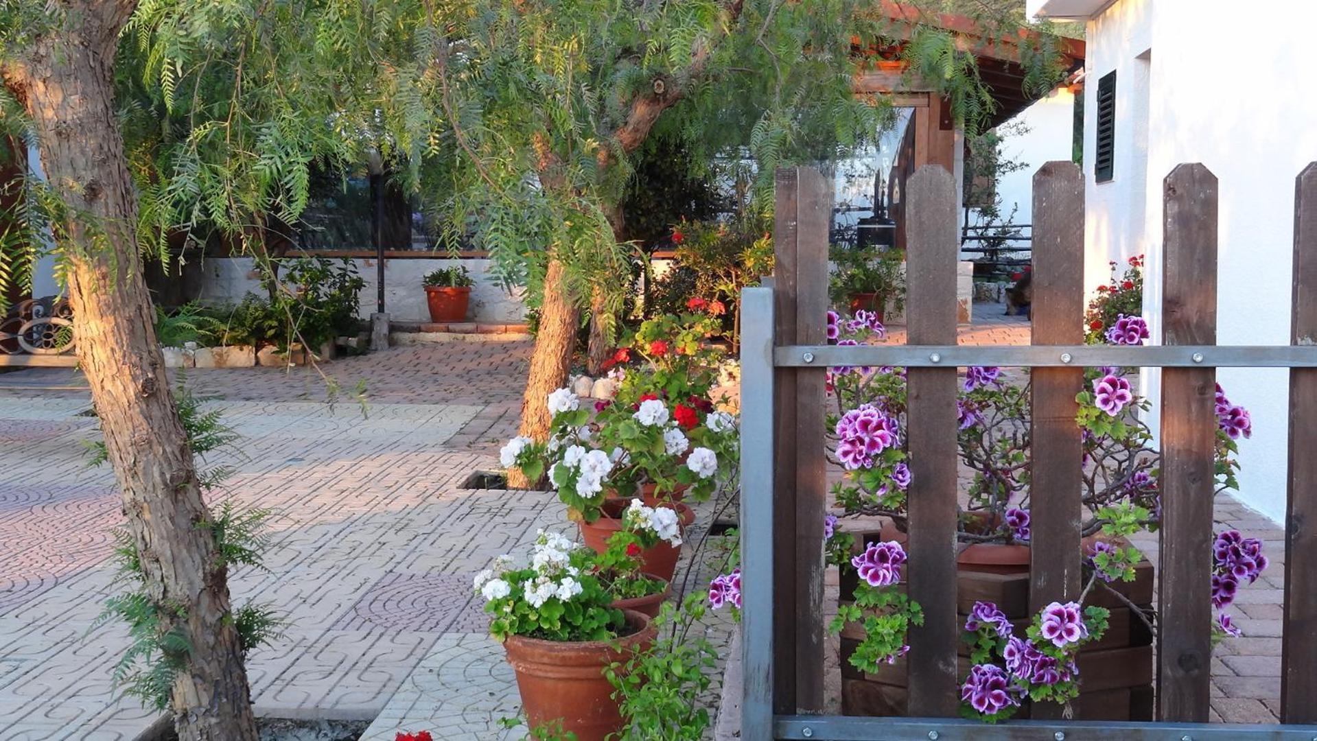 Bed And Breakfast La Casetta Monopoli Exteriér fotografie